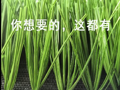 人造草坪基礎施工要求有哪些？
